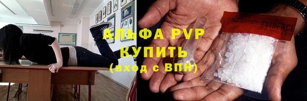 сатива Аркадак