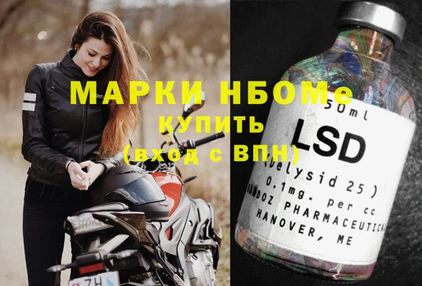 сатива Аркадак