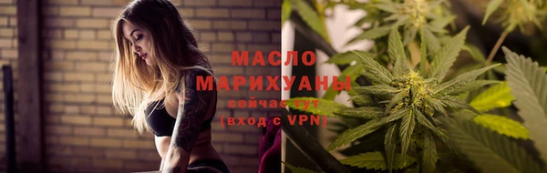 сатива Аркадак