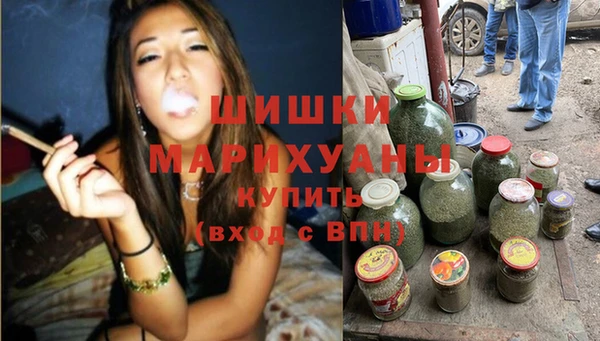 сатива Аркадак