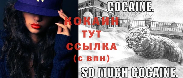 сатива Аркадак