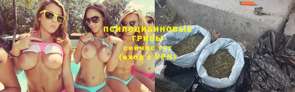 сатива Аркадак