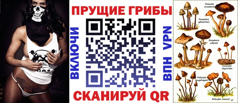 Псилоцибиновые грибы Magic Shrooms  где купить наркотик  Пролетарск 
