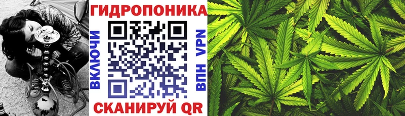 Бошки Шишки план  Пролетарск 